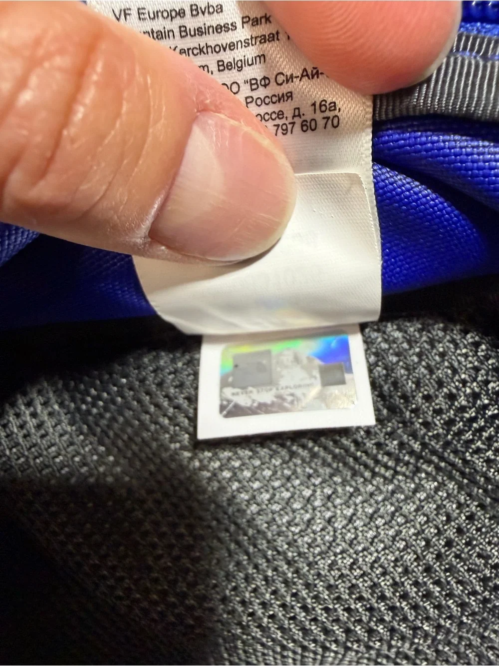 The North Face Kids Royal Blue Sprout Backpack